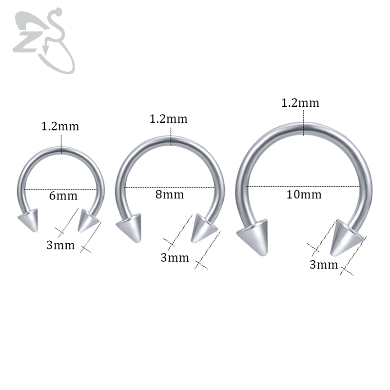 ZS Horseshoe 316L Surgical Ste - Zs Body Jewelry recensie en prijs