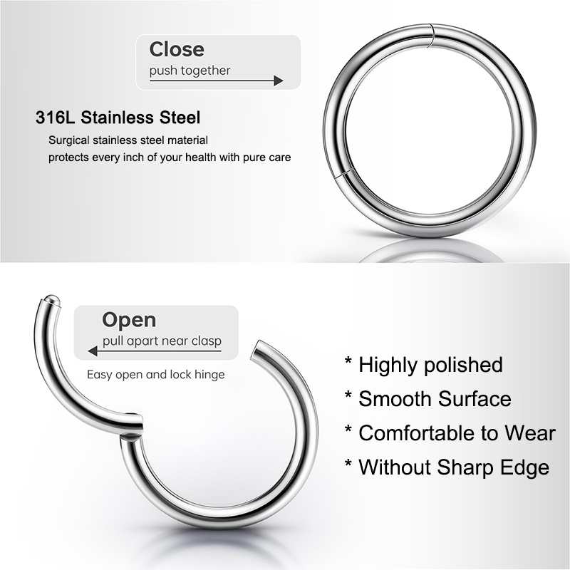 16G 316L Surgical Steel Hinged - Body Jewelry Ear recensie en prijs