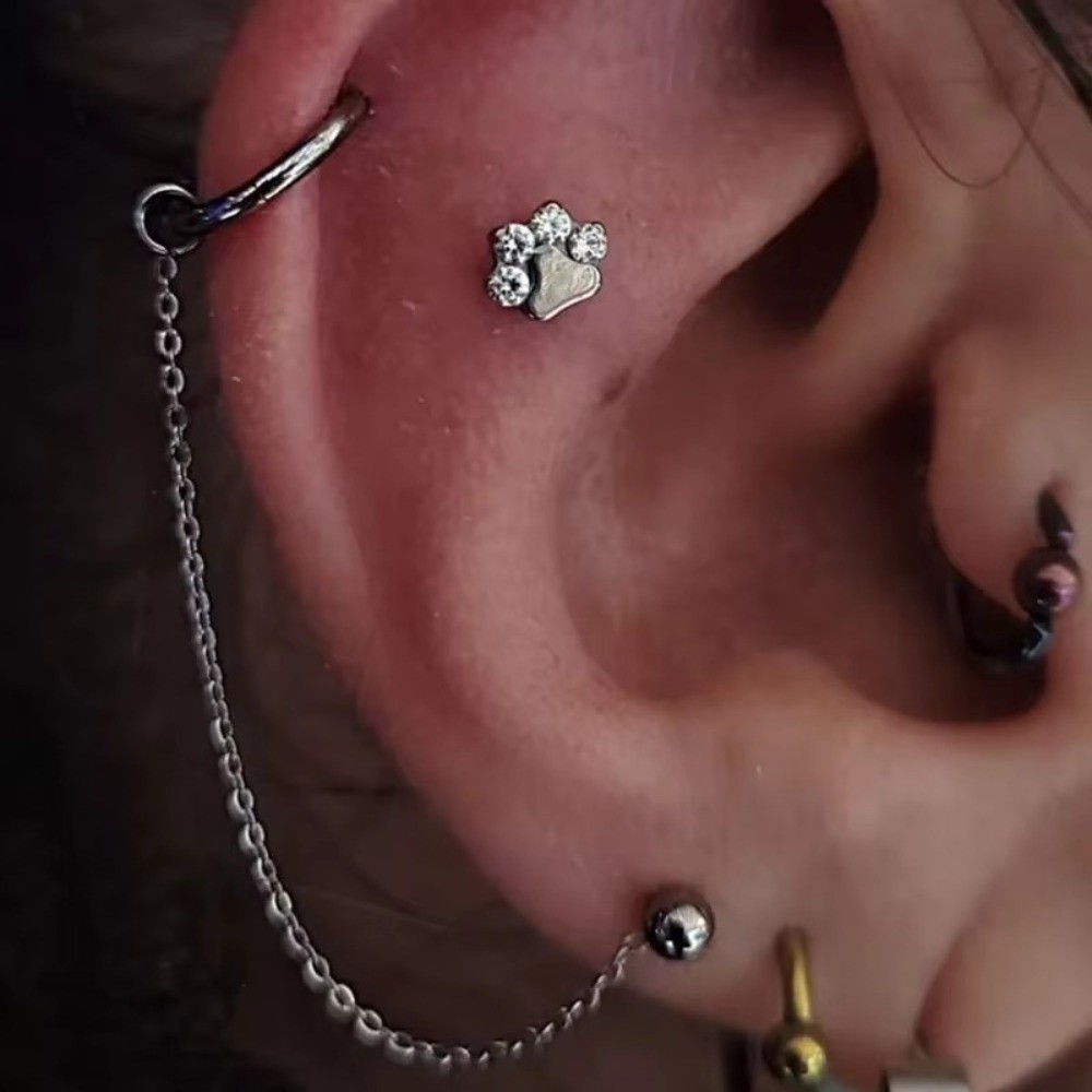 Titanium Nose Chain Three Laye - Body Jewelry Ear recensie en prijs