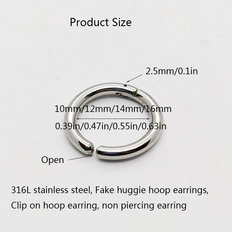 2/6Pcs Fake Huggie Hoop Earrin - Body Jewelry Ear recensie en prijs
