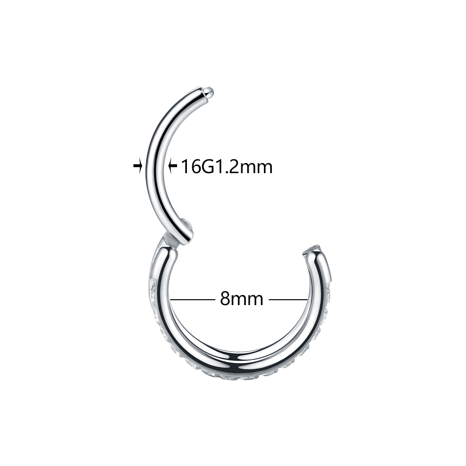1pc Titanium Cartilage Hoop Ea - Septum Clicker Ring recensie en prijs
