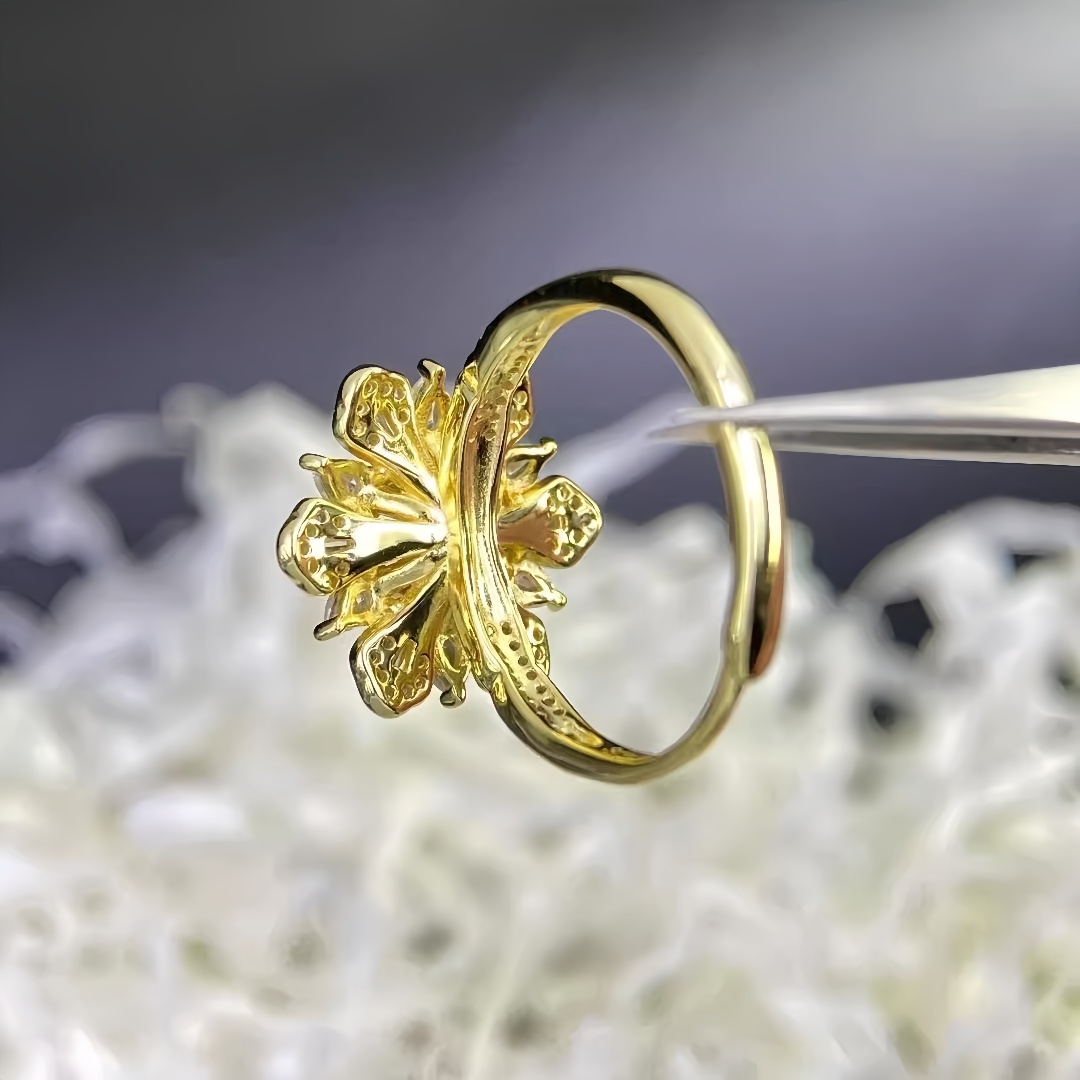 Y Fashion Ring Holder DIY Empt - Daith Heart Ring recensie en prijs
